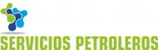 Logo Lis-SRL